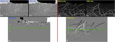 Stick-Slip Dynamics in a Granular Material With Varying Grain Angularity